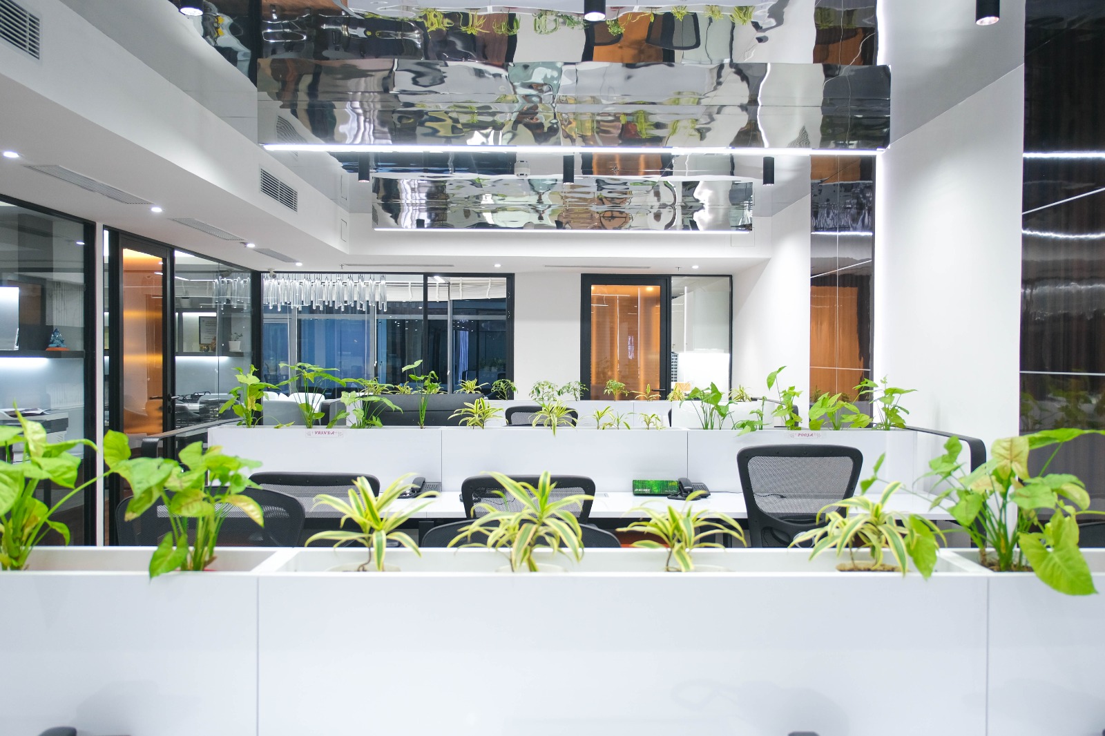 Tech Company Office Design