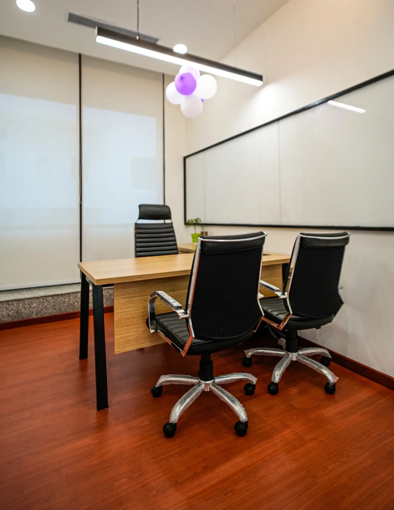 CORDELIA CRUISES completed workspace view 2